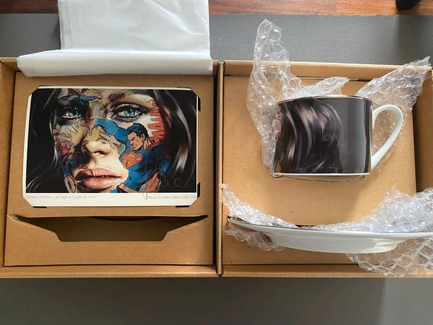 Sandra Chevrier (1983) - 'La Cage et L'onde de Choc' – Bild 2
