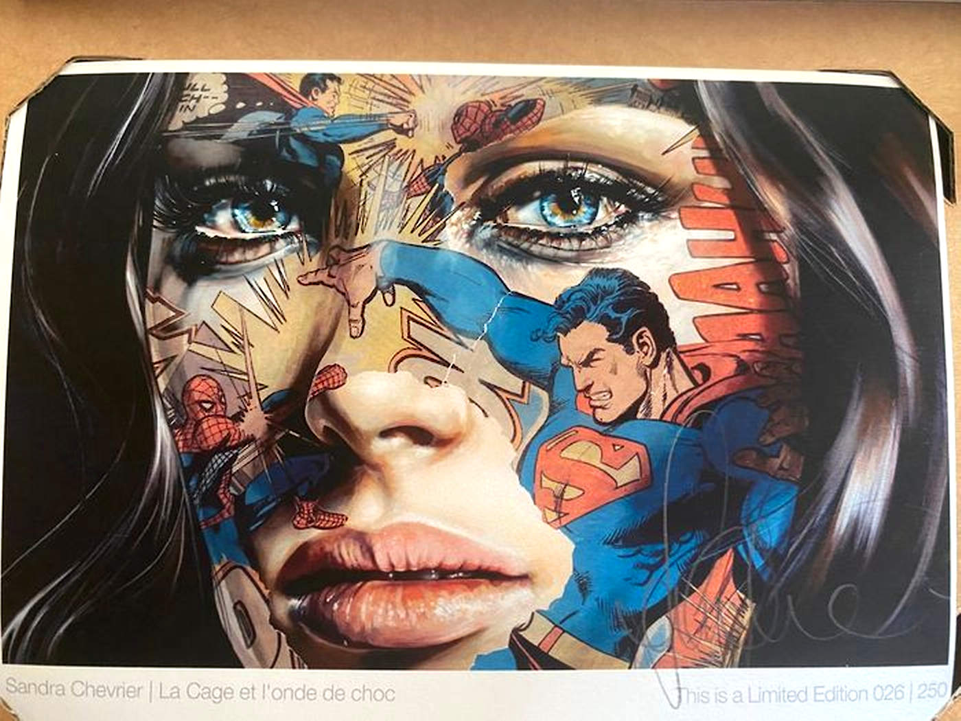 Sandra Chevrier (1983) - 'La Cage et L'onde de Choc' – Bild 3